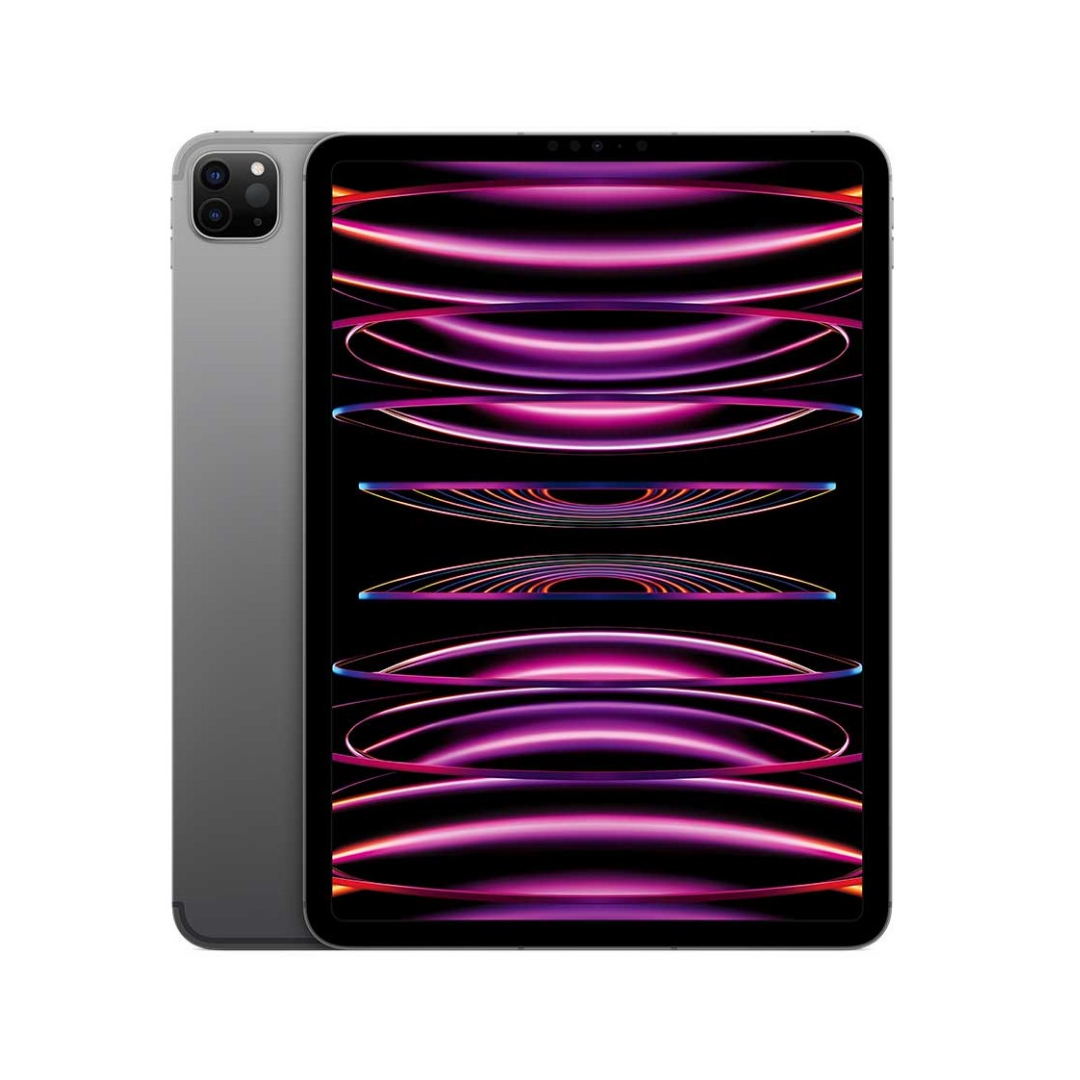 iPad Pro 11" M4 2024 WiFi (6° Gen) 8GB 256GB