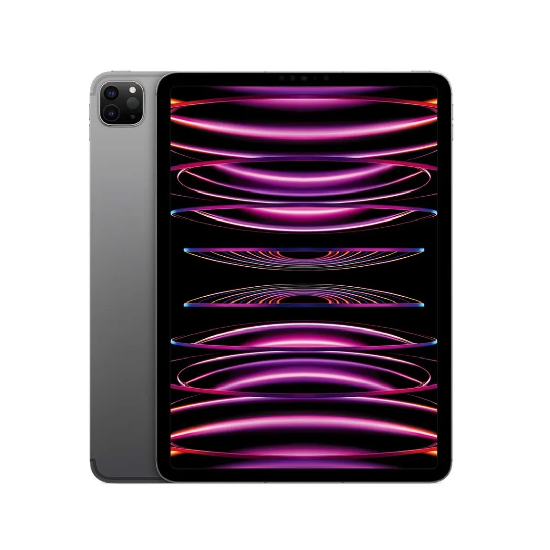iPad Pro 11" M4 2024 WiFi (6° Gen) 8GB 512GB